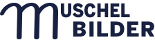 Logo Muschelbilder